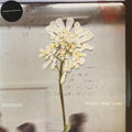 Daughter — Stereo Mind Game