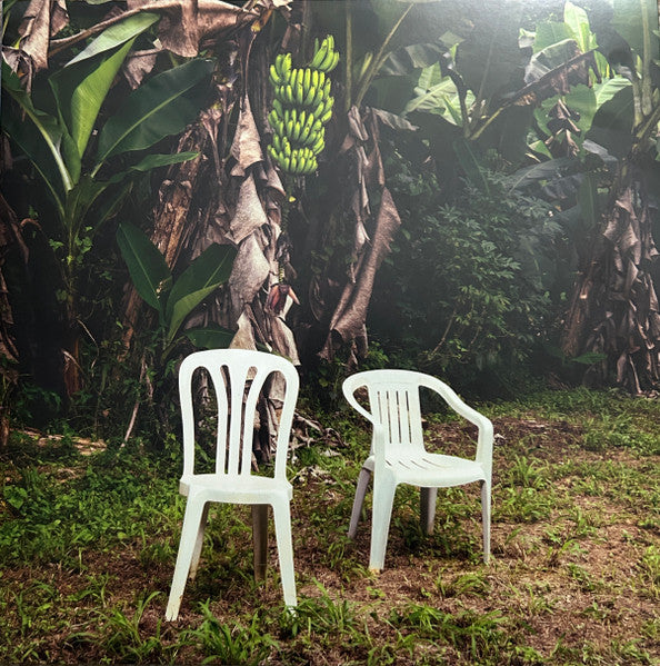 Bad Bunny — Debí Tirar Más Fotos