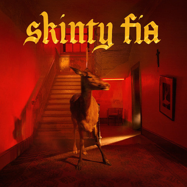 Fontaines D.C. — Skinty Fia