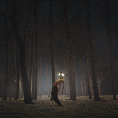 Geese — Projector